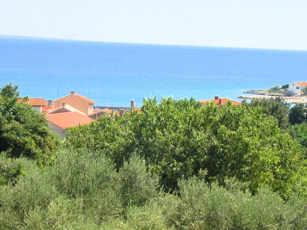 קרק Apartman Danijel מראה חיצוני תמונה